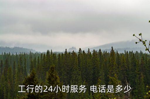 中國工商銀行信用卡客服電話是多少錢