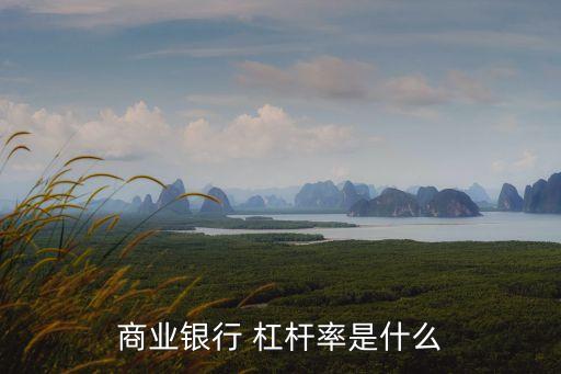 商業(yè)銀行 杠桿率是什么
