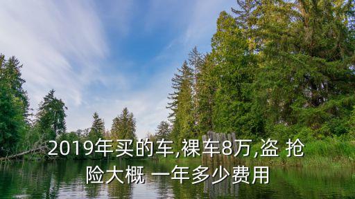 2019年買的車,裸車8萬(wàn),盜 搶險(xiǎn)大概 一年多少費(fèi)用