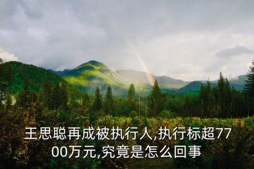  王思聰再成被執(zhí)行人,執(zhí)行標(biāo)超7700萬(wàn)元,究竟是怎么回事