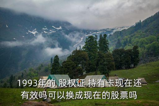 怎么查股權(quán)證持有卡上有多少股