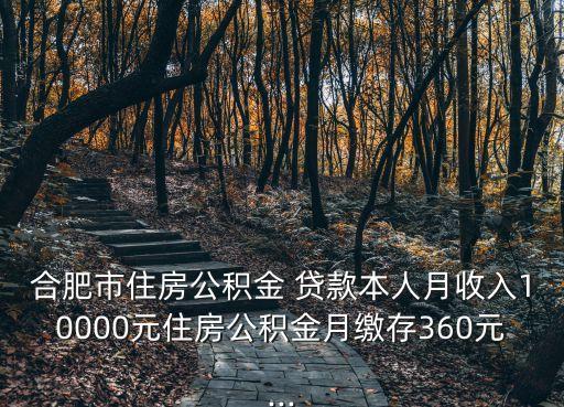 月入一萬 買房可以貸款多少,上海月入一萬可以貸款多少買房