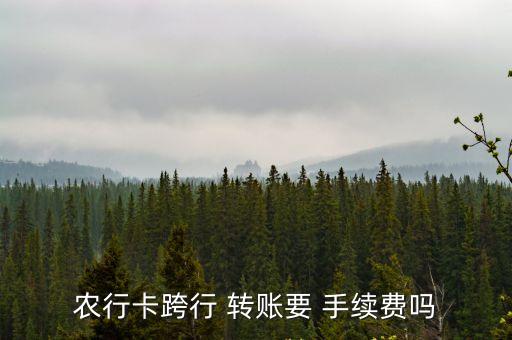 農(nóng)行卡跨行 轉(zhuǎn)賬要 手續(xù)費嗎