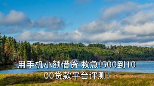 用手機小額借貸 救急!500到1000貸款平臺評測!
