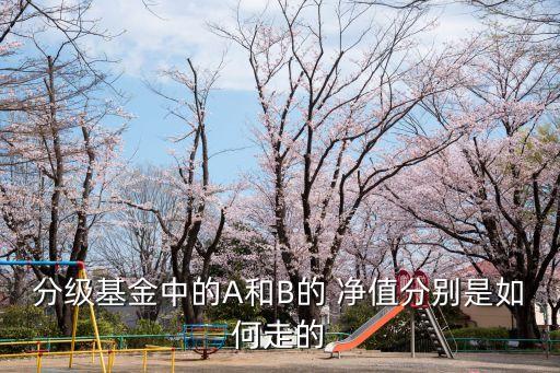 一帶b凈值是多少,121005凈值多少