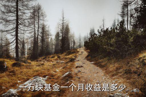 純債基收益率多少錢,2022債基收益率