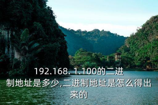 192.168. 1.100的二進(jìn)制地址是多少,二進(jìn)制地址是怎么得出來的