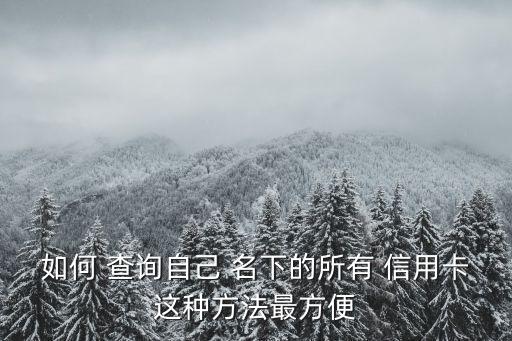 如何 查詢自己 名下的所有 信用卡這種方法最方便