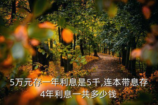 五萬元 0點(diǎn)五萬元等于多少萬元