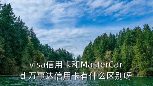 visa信用卡和MasterCard 萬事達(dá)信用卡有什么區(qū)別呀