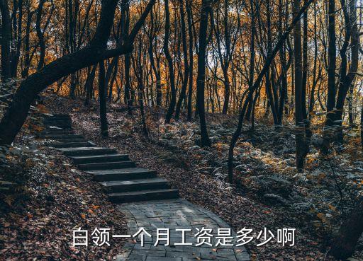 北京白領(lǐng)有多少,北京的白領(lǐng)平均一個(gè)月多少錢