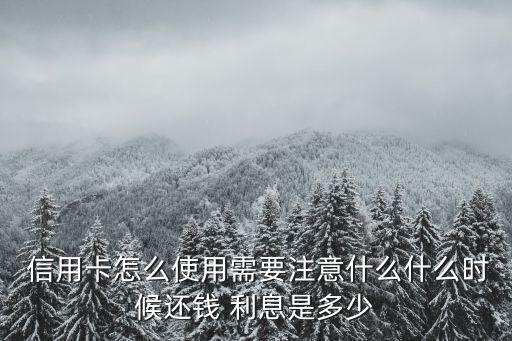  信用卡怎么使用需要注意什么什么時(shí)候還錢 利息是多少
