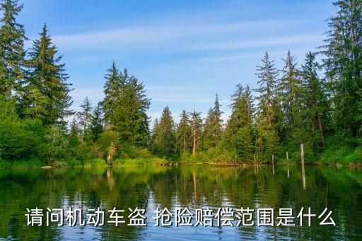 車輛盜搶險最多賠多少