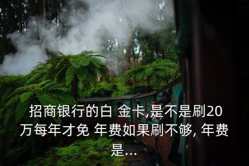  招商銀行的白 金卡,是不是刷20萬每年才免 年費如果刷不夠, 年費是...