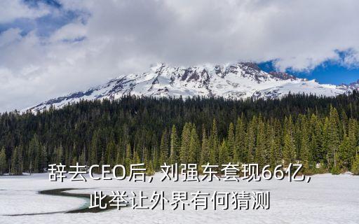 劉強(qiáng)東總資產(chǎn)多少億,李宇春總資產(chǎn)多少億