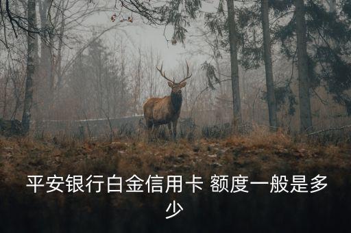 平安金卡的額度是多少錢,平安萬事達金卡額度才3000元