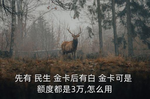民生白金卡額度多少,民生金卡升級白金卡額度會提升嗎