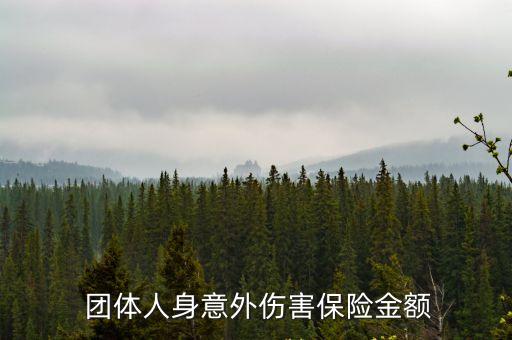 團體人身意外傷害保險金額