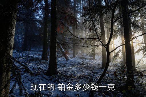 現(xiàn)在的 鉑金多少錢一克
