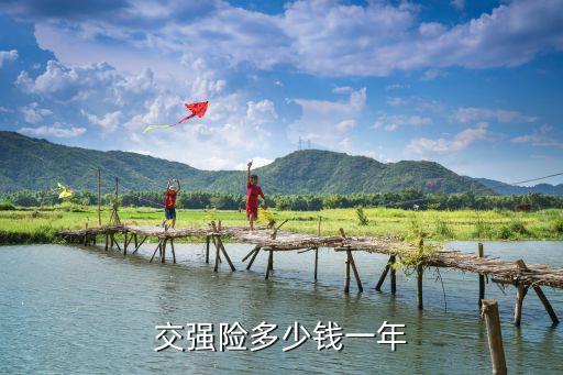 機動車辦保險多少錢