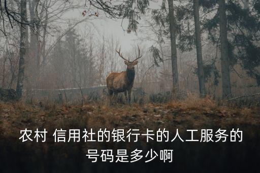 黑龍江農(nóng)村信用社電話客服電話是多少錢
