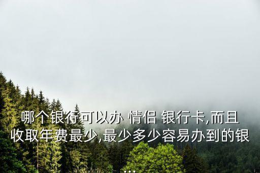 哪個銀行可以辦 情侶 銀行卡,而且收取年費(fèi)最少,最少多少容易辦到的銀...