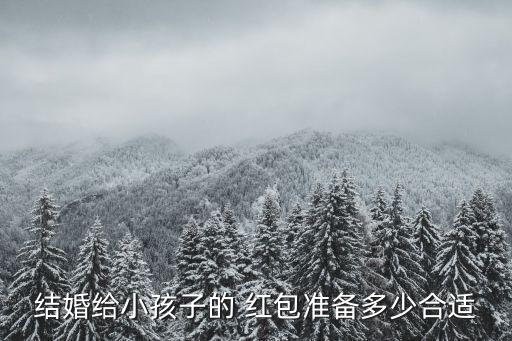 結(jié)婚給小孩子的 紅包準(zhǔn)備多少合適