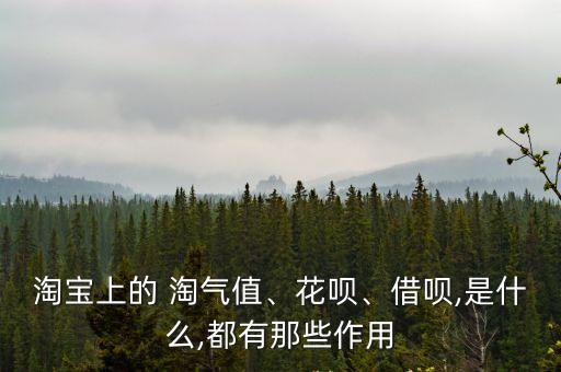 淘寶上的 淘氣值、花唄、借唄,是什么,都有那些作用