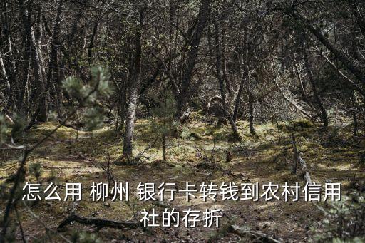 柳州銀行網(wǎng)銀轉(zhuǎn)賬多少,2021各大銀行網(wǎng)銀轉(zhuǎn)賬限額表
