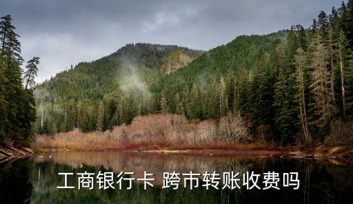 工商跨行跨市手續(xù)費(fèi)是多少錢