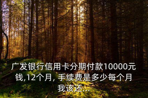 分期分12期手續(xù)費多少錢,樂分易分期手續(xù)費