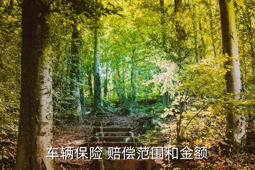 車(chē)險(xiǎn)可以賠償多少,車(chē)險(xiǎn)賠償多少對(duì)后期保費(fèi)的影響