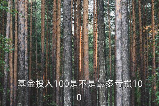 基金最高賠多少,基金凈值最高能漲到多少