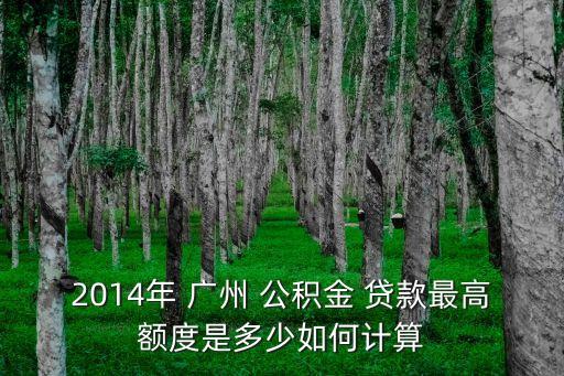 廣州住房公積金能貸款多少,廣州的住房公積金可以在茂名貸款嗎