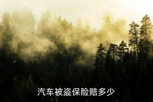 汽車被盜保險(xiǎn)賠多少