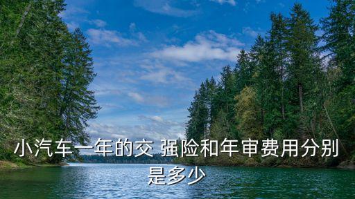 小汽車一年的交 強(qiáng)險(xiǎn)和年審費(fèi)用分別是多少