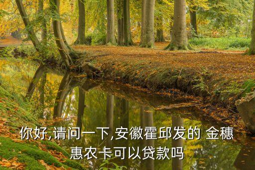 金穗惠農(nóng)卡能貸多少款