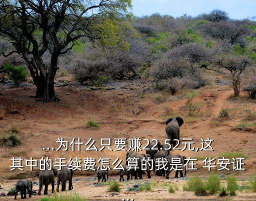 ...為什么只要賺22.52元,這其中的手續(xù)費怎么算的我是在 華安證...