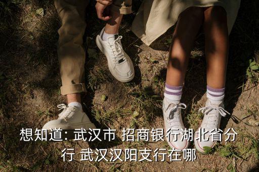 想知道: 武漢市 招商銀行湖北省分行 武漢漢陽支行在哪