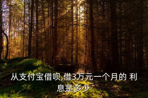 30000借唄一年利息多少錢,微粒貸借30000一年利息
