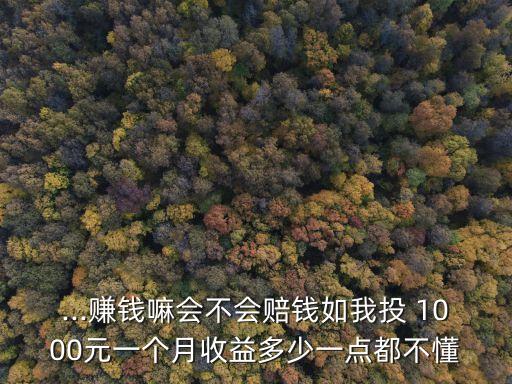 ...賺錢嘛會(huì)不會(huì)賠錢如我投 1000元一個(gè)月收益多少一點(diǎn)都不懂
