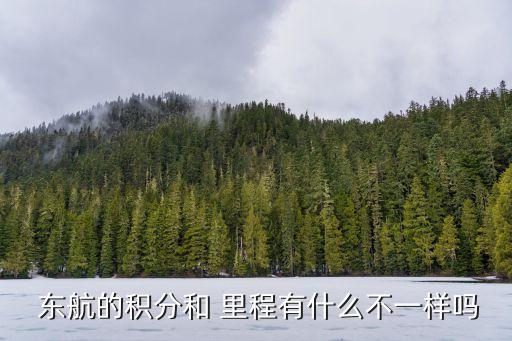  東航的積分和 里程有什么不一樣嗎