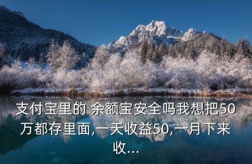 支付寶里的 余額寶安全嗎我想把50萬都存里面,一天收益50,一月下來收...