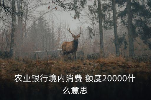 農(nóng)行2萬(wàn)額度提到多少錢,農(nóng)行信用卡一般額度是多少