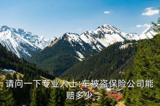 請問一下專業(yè)人士:車被盜保險(xiǎn)公司能賠多少