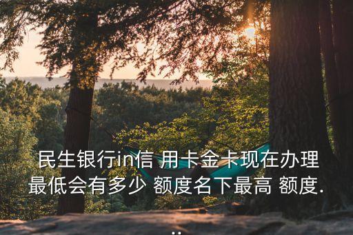 民生in用卡額度是多少錢,民生信用卡in卡額度