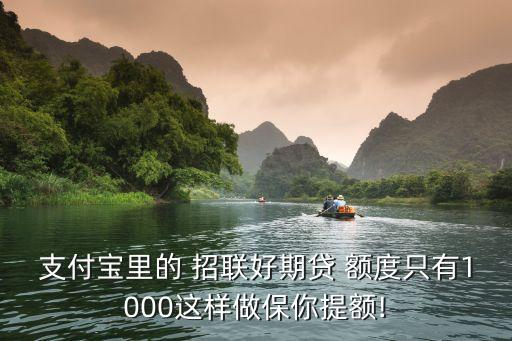 招聯(lián)額度多少,支付寶招聯(lián)額度一般都多少