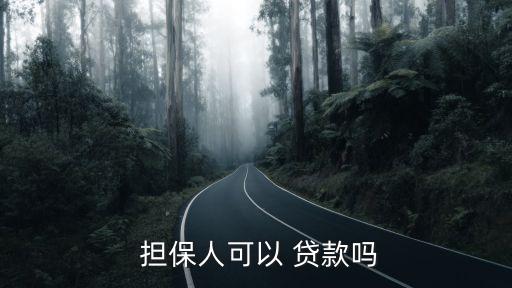 有擔(dān)保人能貸款多少錢,給公司貸款擔(dān)保人有多少責(zé)任