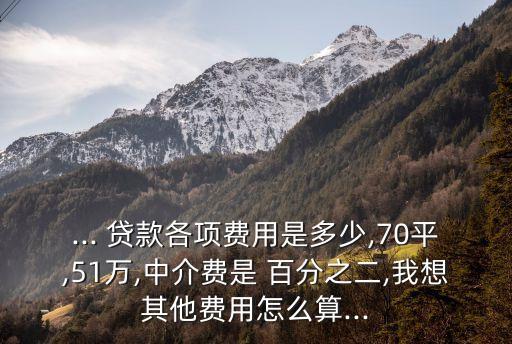 ... 貸款各項費用是多少,70平,51萬,中介費是 百分之二,我想其他費用怎么算...