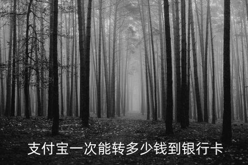  支付寶一次能轉(zhuǎn)多少錢到銀行卡